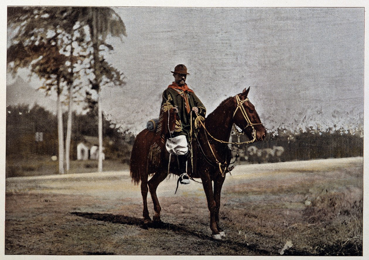 19. yüzyılın sonlarında Rio Grande do Sul