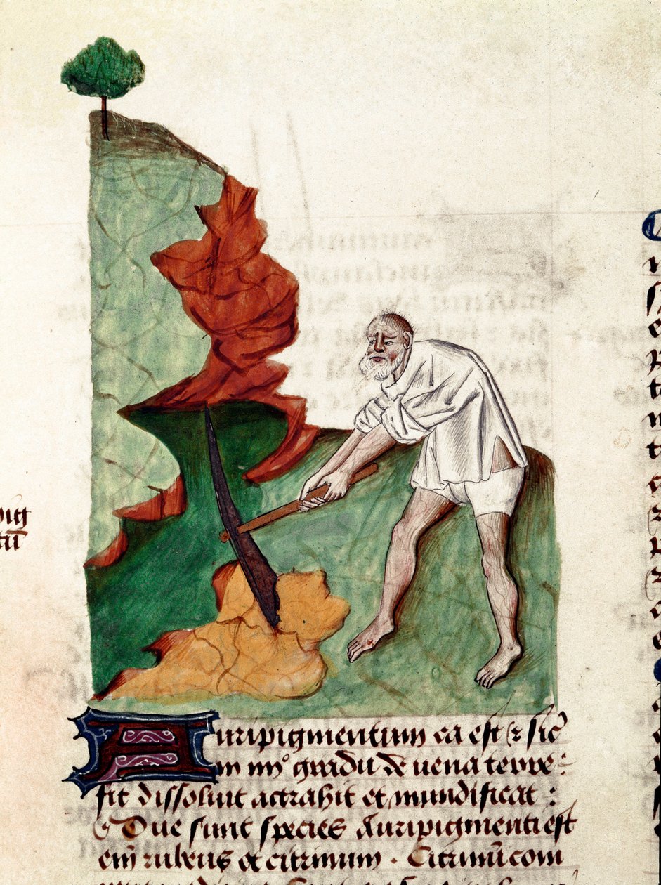 Pedanius Dioscorides (Dioscorides) (MS 40-90) Lat.1152 tarafından yazılan ""Bitkiler üzerinde tedavi" (Tractatus de otlar) el yazmasının altın arayan sayfası by Unknown artist