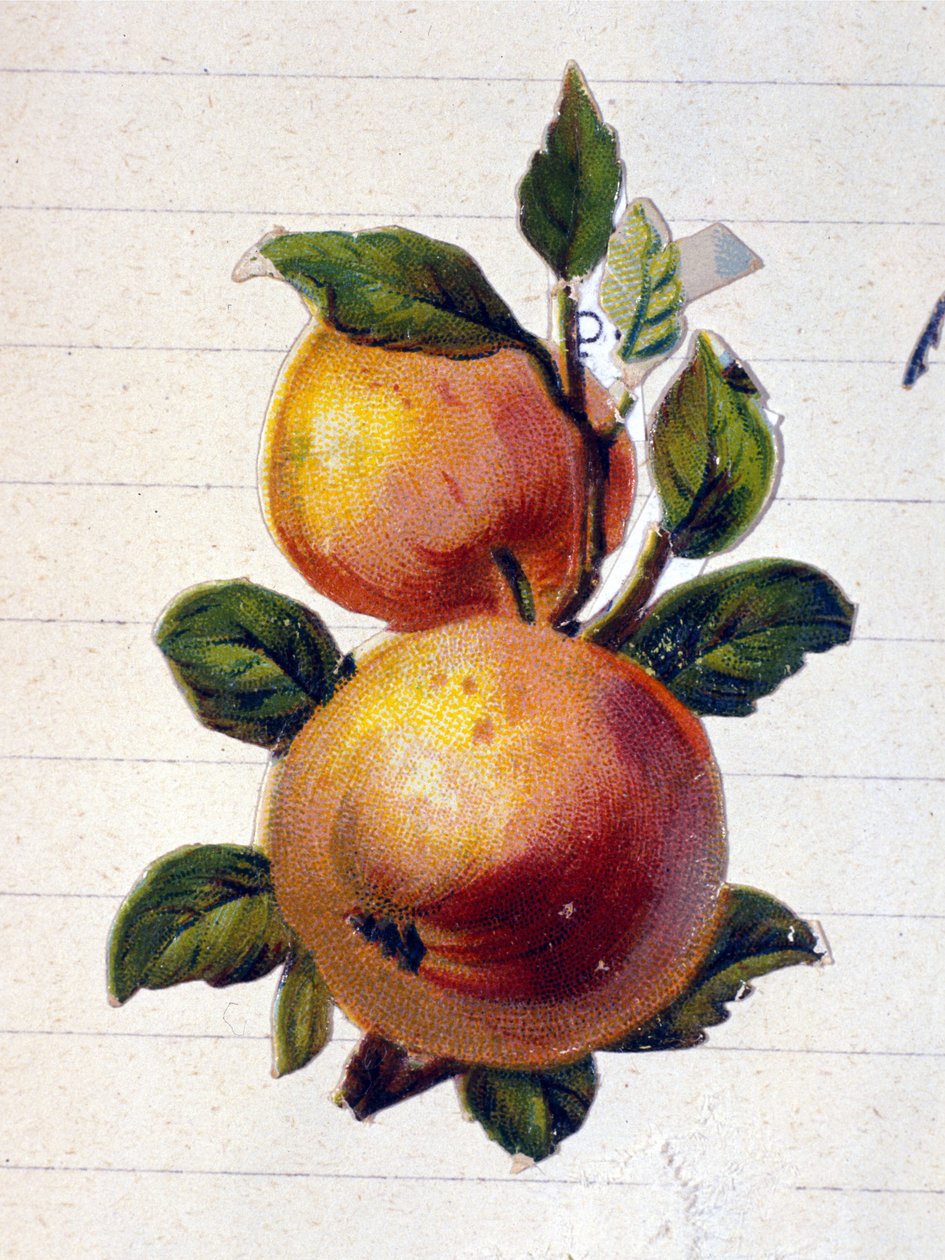 Şeftali by Unknown artist