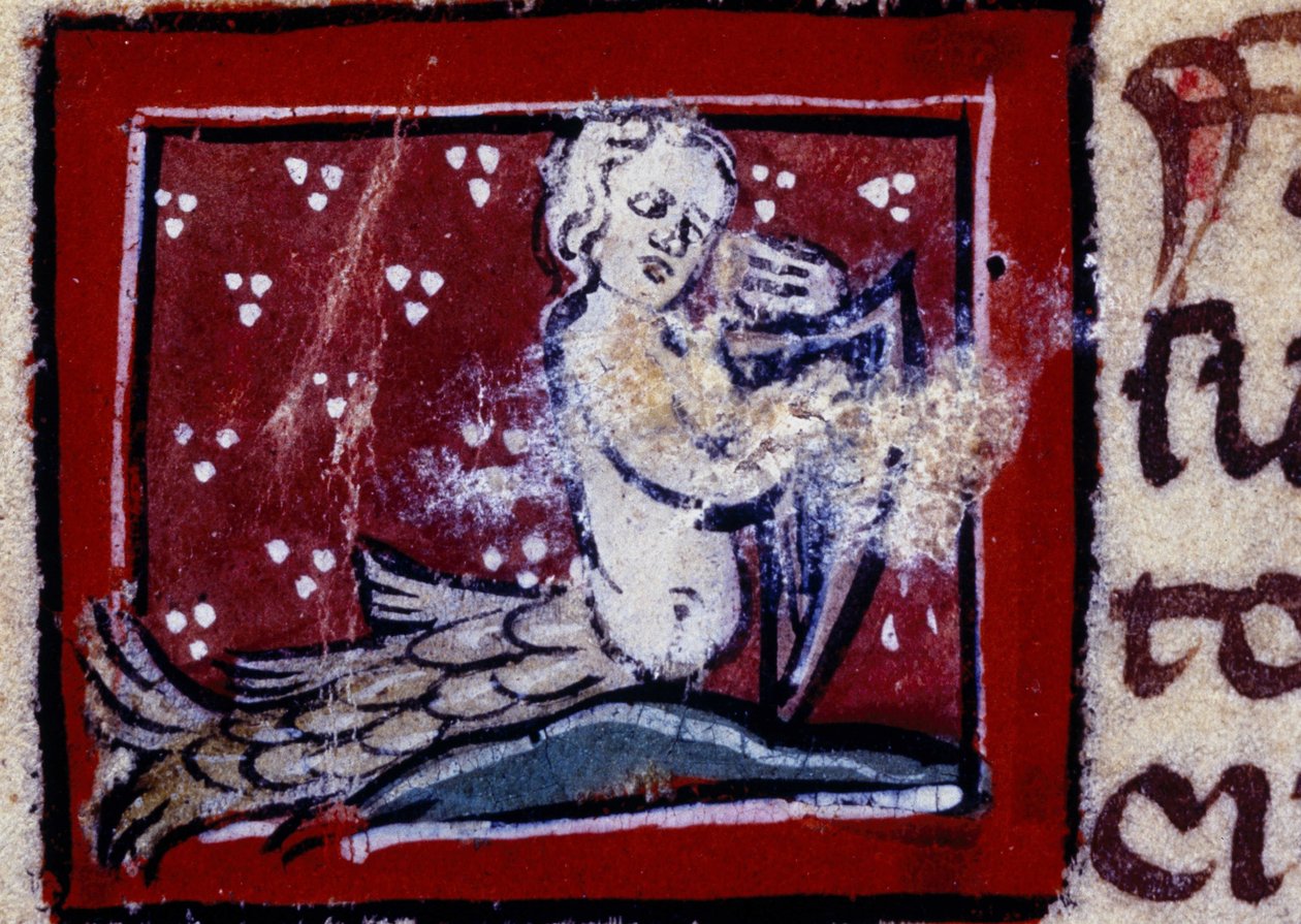 Bir siren - 14. yüzyılın en iyi sözü. Milano, Biblioteca Trivulziana. by Unknown artist