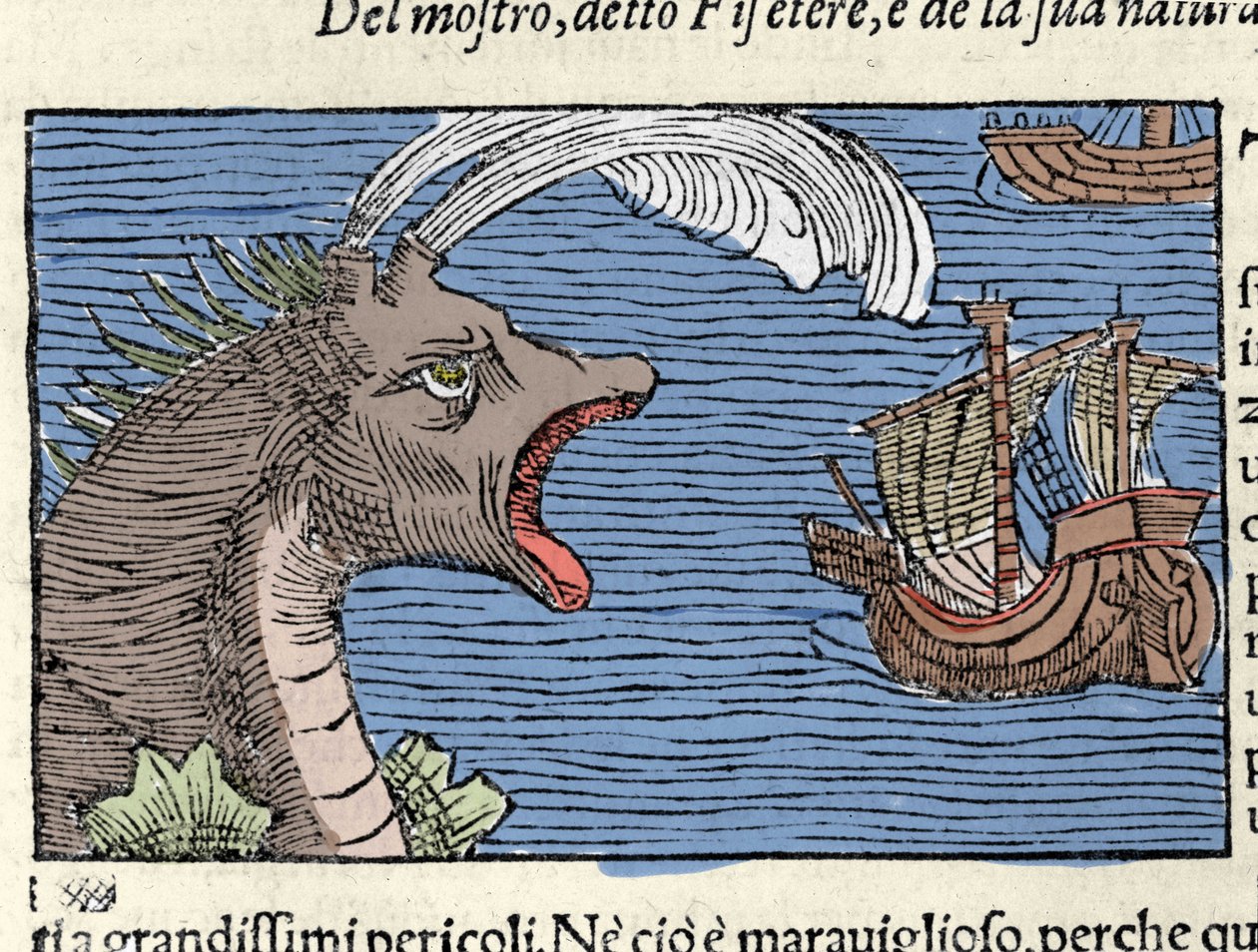 Bir sperm balinası (?) (physeter) bir gemiye saldırır. Olaus Magnus (1490 - 1557), İsveçli dindar ve coğrafyacı tarafından gravür, “Historia de Gentis Septentrionalibus”, Venedik by Unknown artist