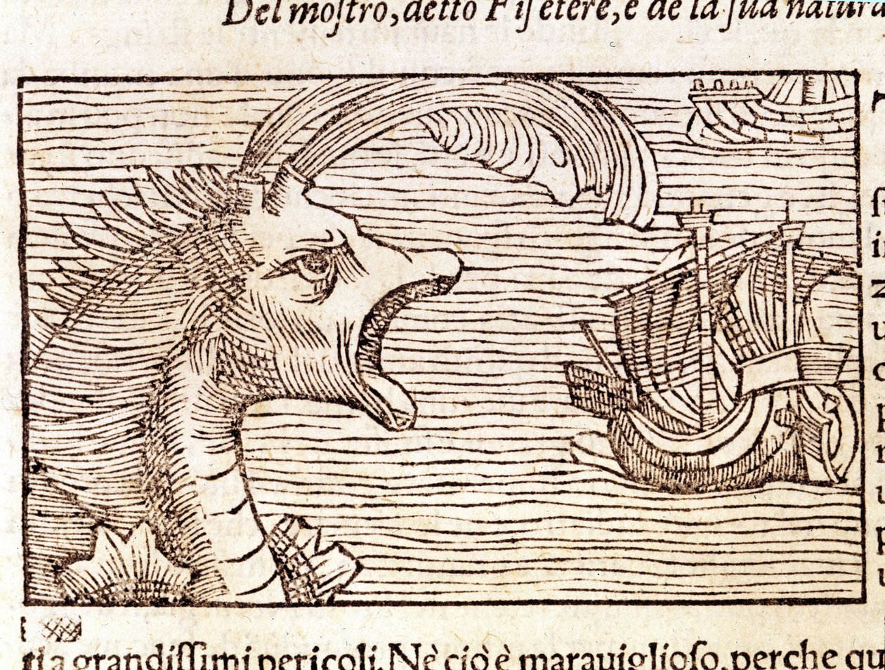 Bir sperm balinası (?) (physeter) bir gemiye saldırır. Olaus Magnus (1490 - 1557), İsveçli dindar ve coğrafyacı tarafından gravür, “Historia de Gentis Septentrionalibus”, Venedik by Unknown artist