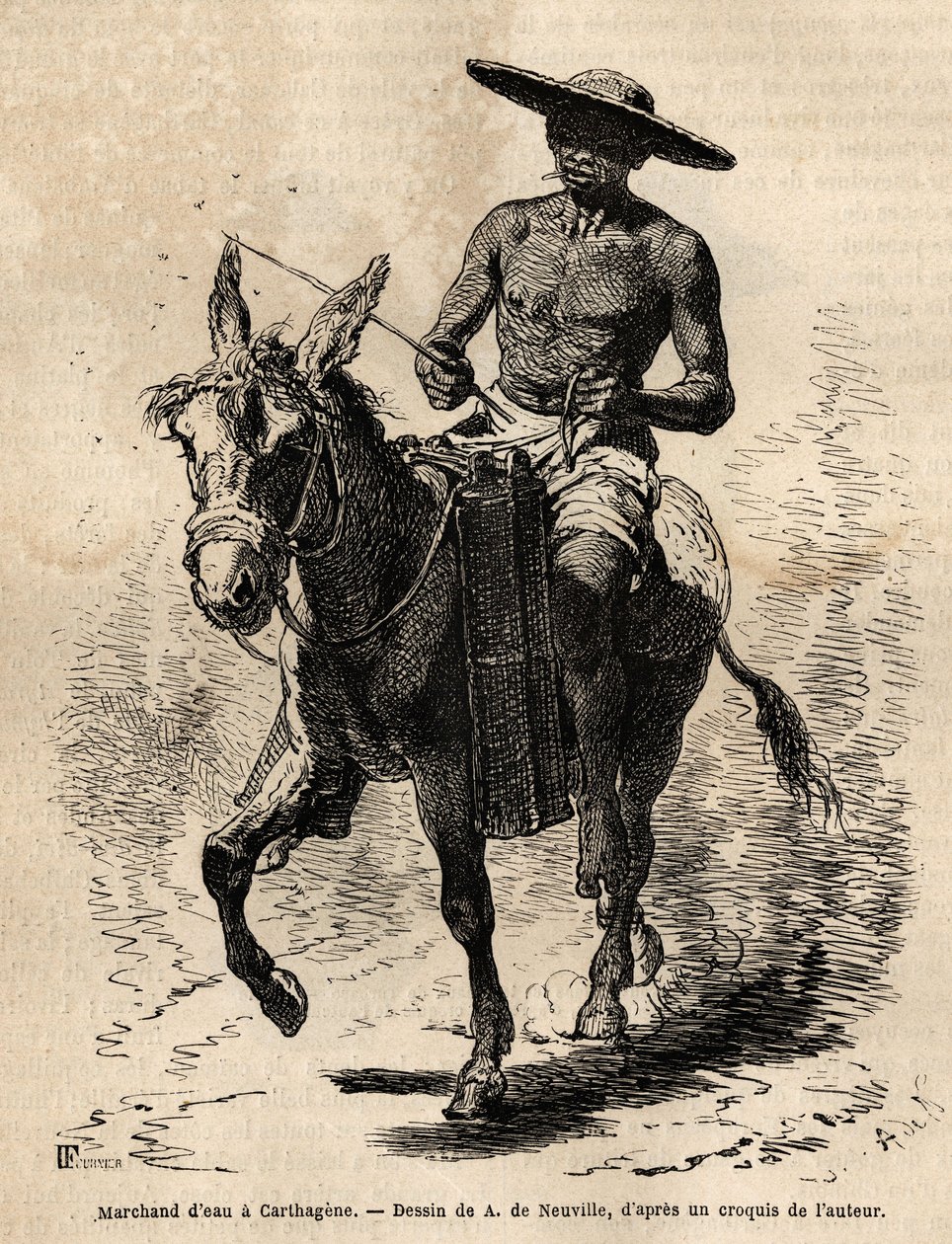 Cartagena