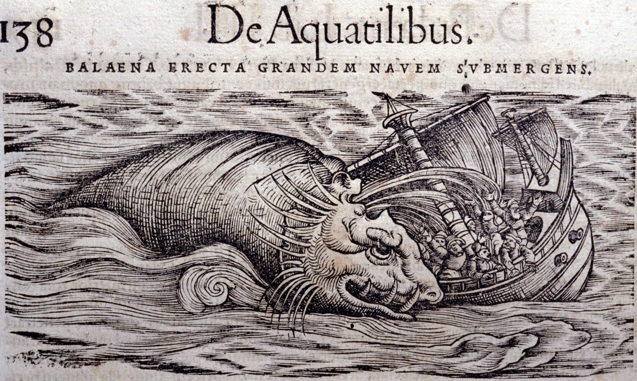 Bir balina, bir teknenin gövdesini yok eder ve batmasına neden olur. Gravür n Historia Animalium, Conrad Gesner (1516 - 1565), Tiguri by Unknown artist