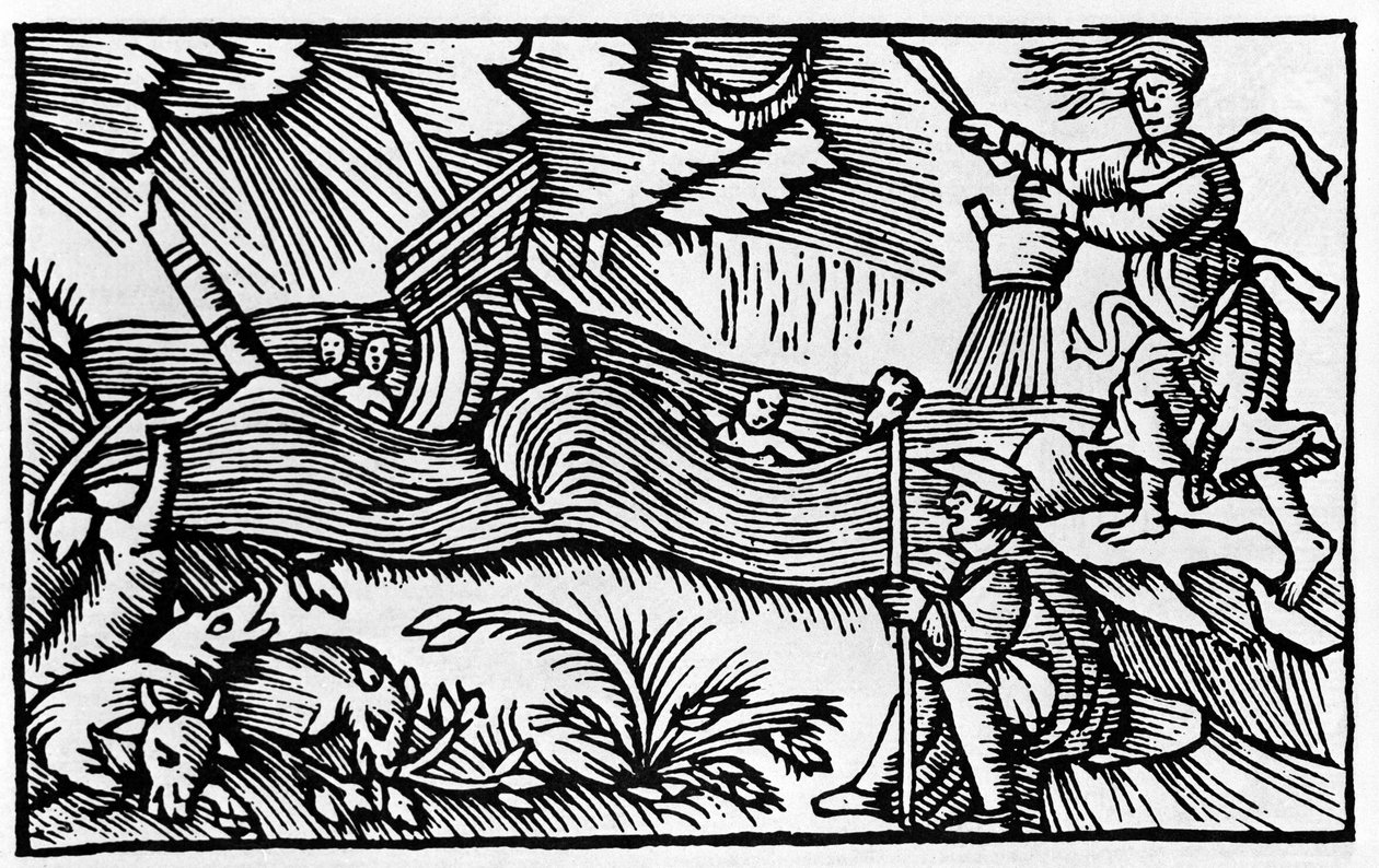 Bir cadı, Olaus Magnus