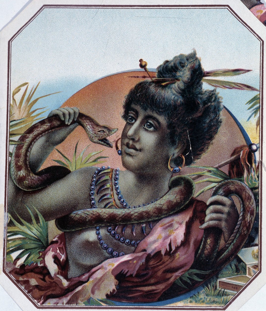 Afrikalı siyah kadın ve yılan - Puro kutusu etiketi, 19. yüzyılın sonlarında by Unknown artist
