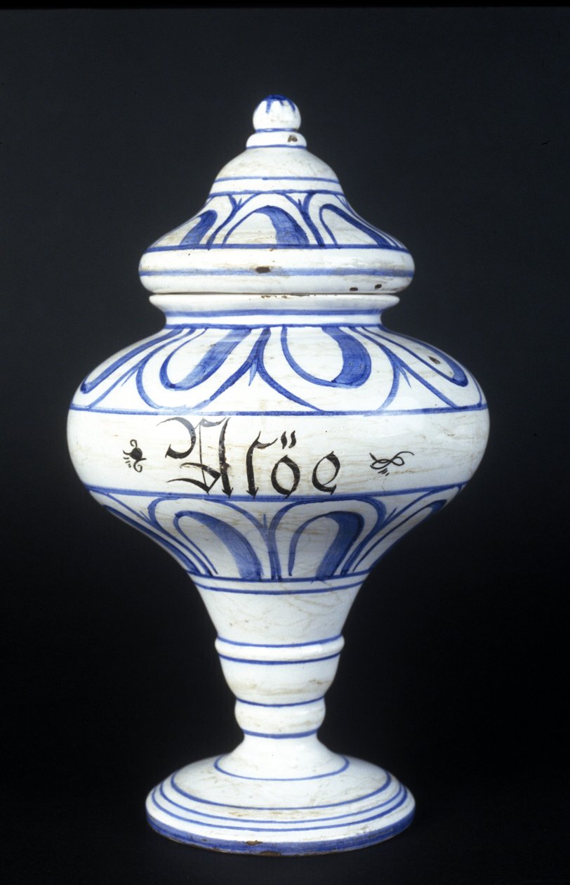 Albarelle: Aloe içeren 16. yüzyıl eczane vazosu. Bilim ve Teknoloji Müzesi, Milano. by Unknown artist
