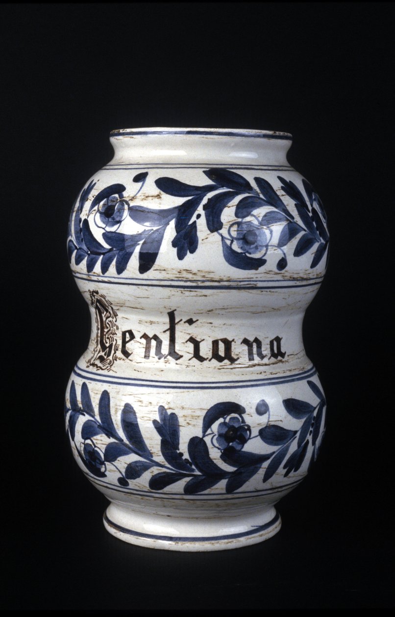 Albarelle: centiyana içeren eski 16. yüzyıl eczane vazosu. Bilim ve Teknoloji Müzesi, Milano. by Unknown artist