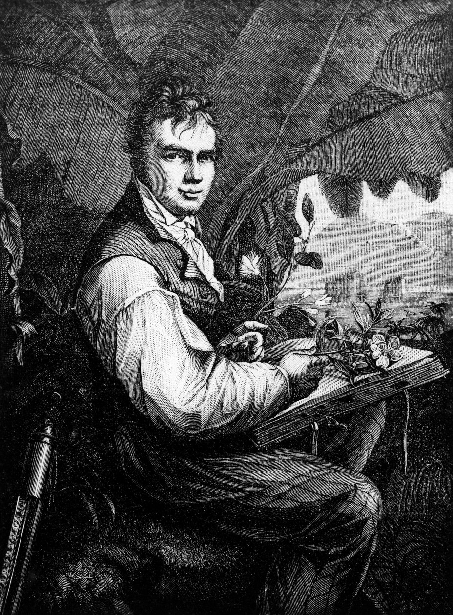 Alexander Von Humboldt (Alexander de Humboldt) by Unknown artist