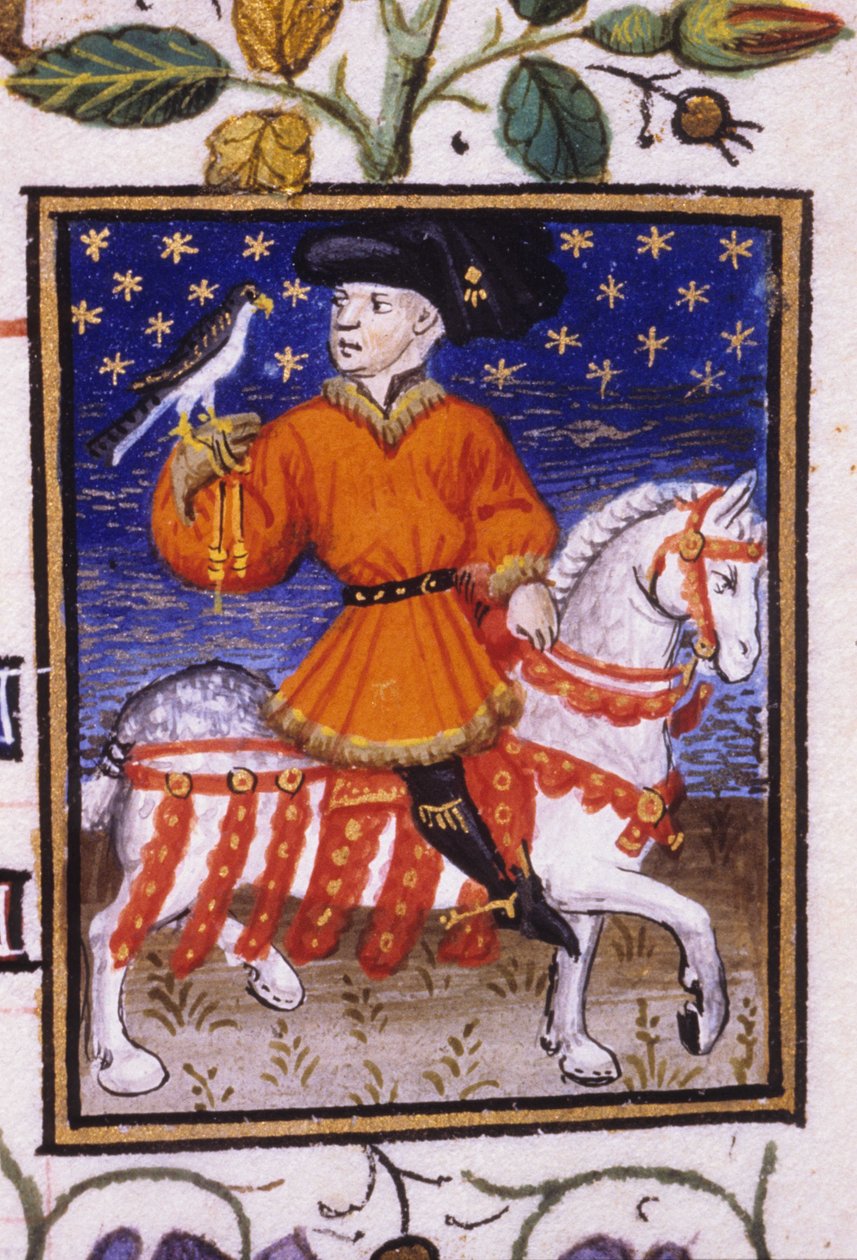 Mayıs ayının alegorik temsili. Bir şahin tutan bir jartiyer tarafından dizini sıkan anırmaları olan genç bir lord. 14. yüzyıldan kalma bir el yazmasının minyatürü; by Unknown artist