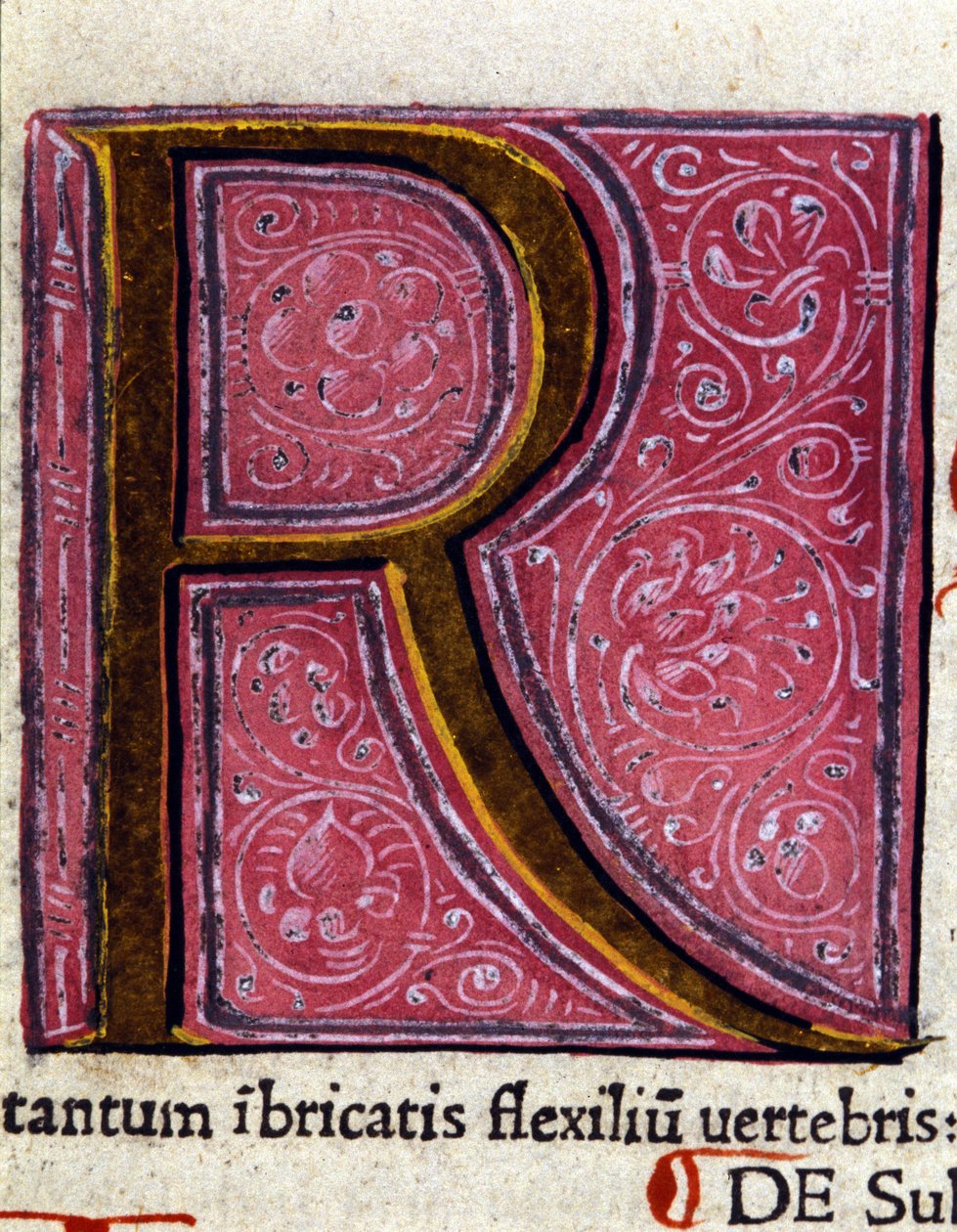 Alfabe: minyatür R harfi by Unknown artist