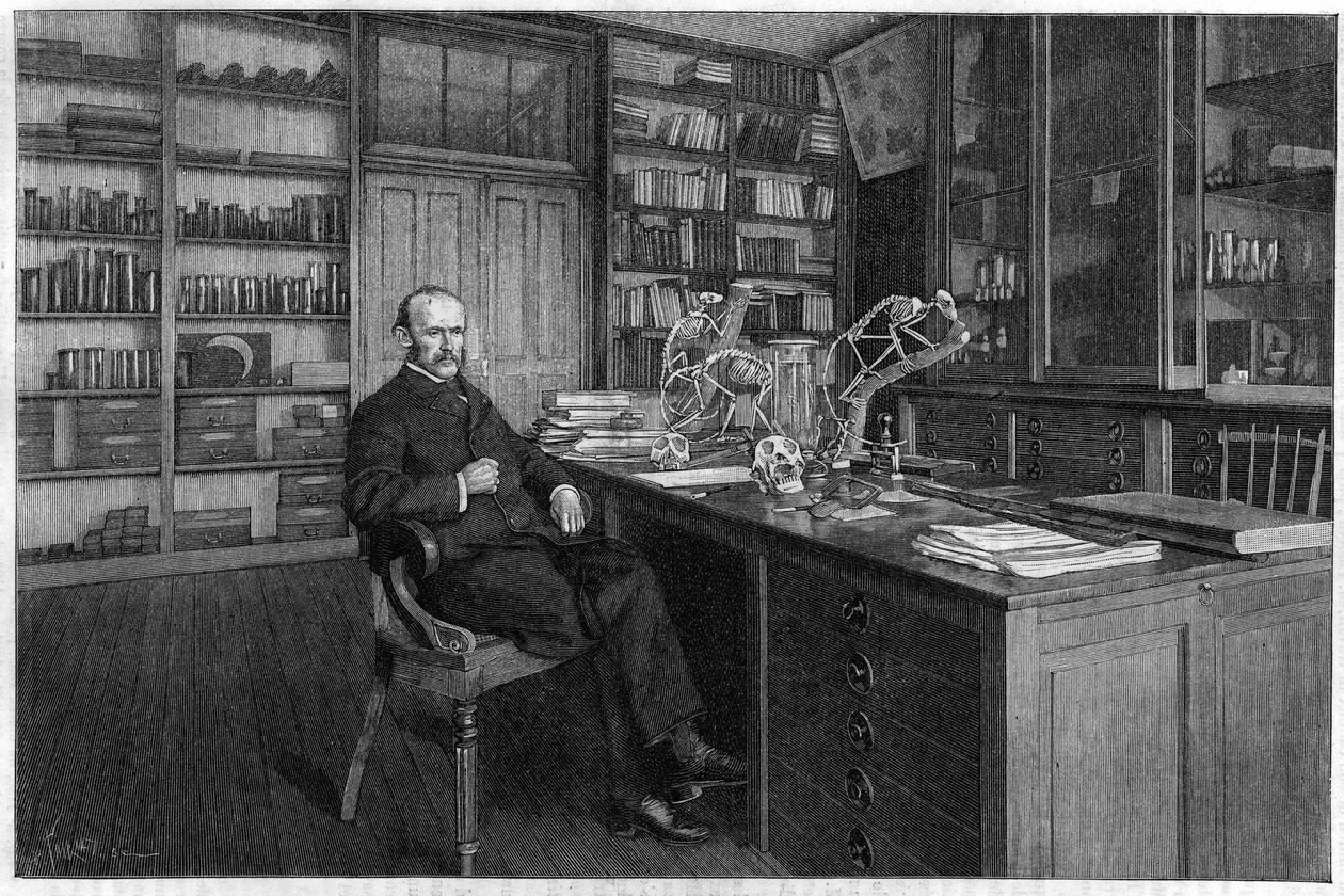 Alphonse Milne Edwards (Milne-Edwards) by Unknown artist