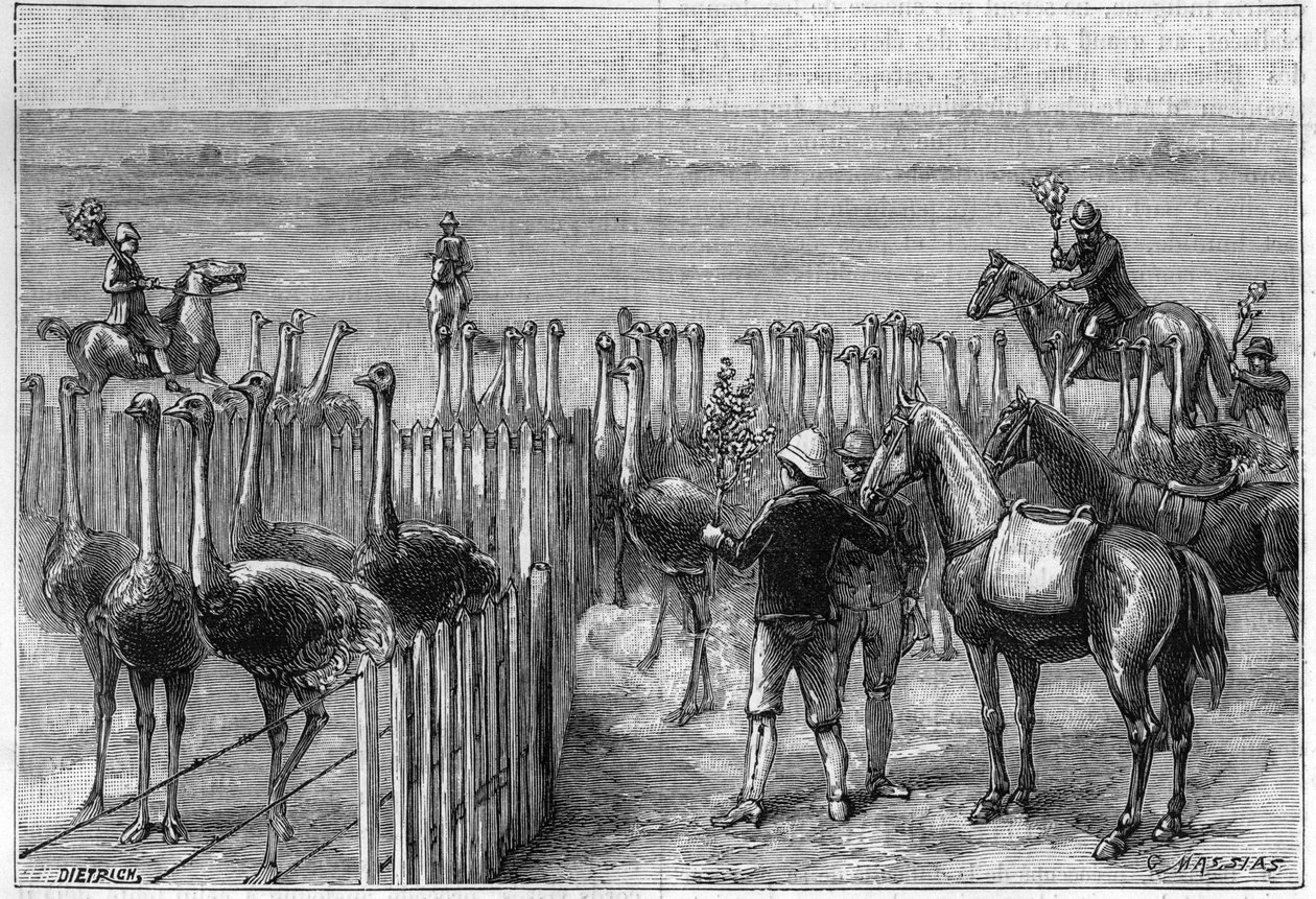1895