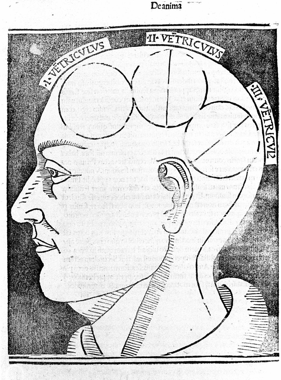 Aristoteles