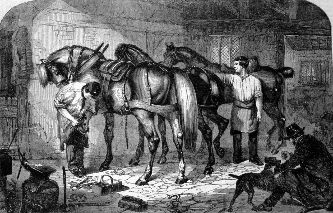 Zanaatkar: Marechal Ferrants, atların toynaklarını yaptı. 19. yüzyıl gravürü by Unknown artist