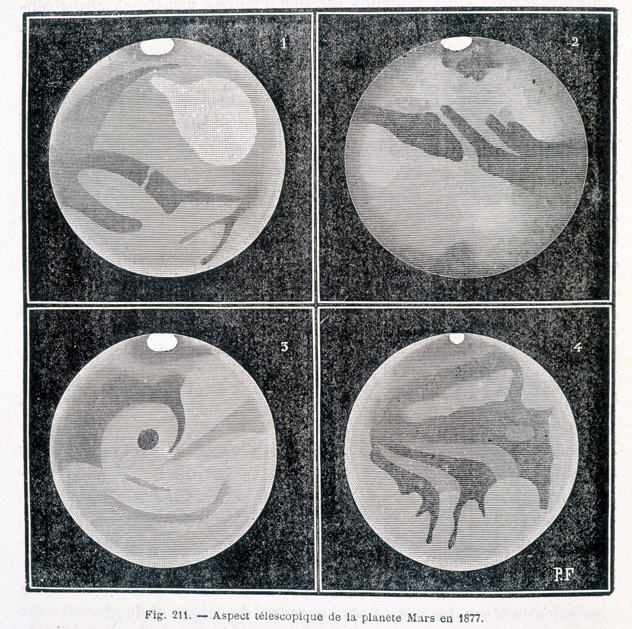 1877