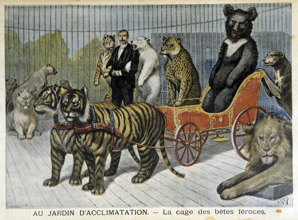 İklimlendirme bahçesinde: vahşi hayvanların kafesi - 02/06/1895 tarihli “” Le Petite Journal” da by Unknown artist