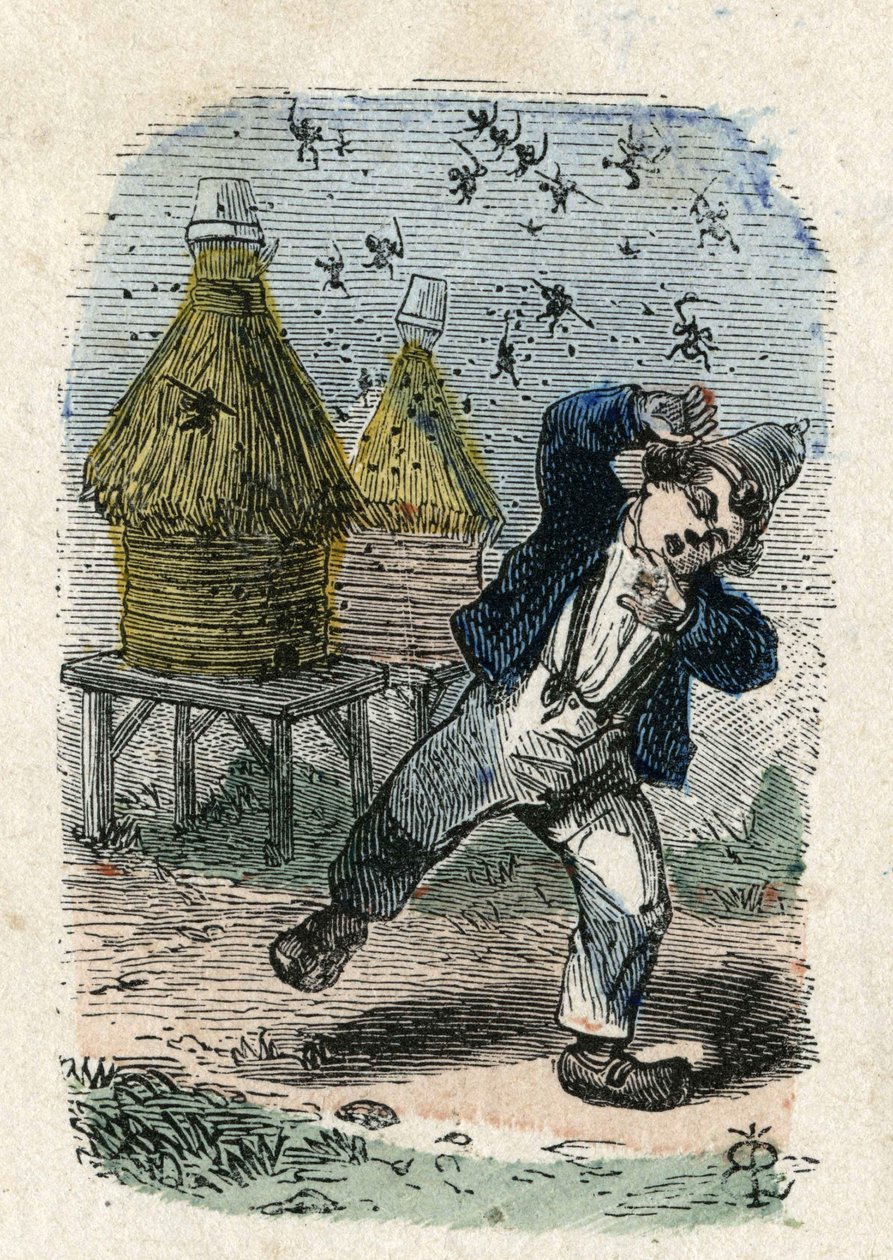Arılar, kovanlarının yakınında bir çocuğa saldırır. Resim 19. yüzyıl. Bianchetti Koleksiyonu by Unknown artist