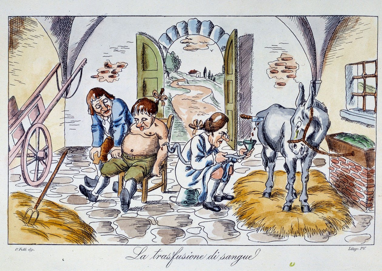 Kan nakli Bir doktor bir hastaya at kanı enjekte eder. 19. Yüzyıl Özel Koleksiyonundan Karikatür by Unknown artist