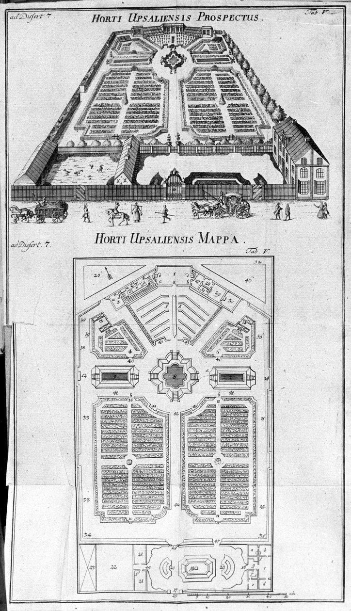 Botanik Bahçesi - HORTI UPSALIENSIS ileriye dönük ve plan. by Unknown artist