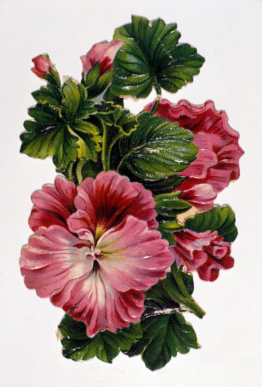 Çiçek buketi. 19. yüzyıl kromolitografisi. by Unknown artist