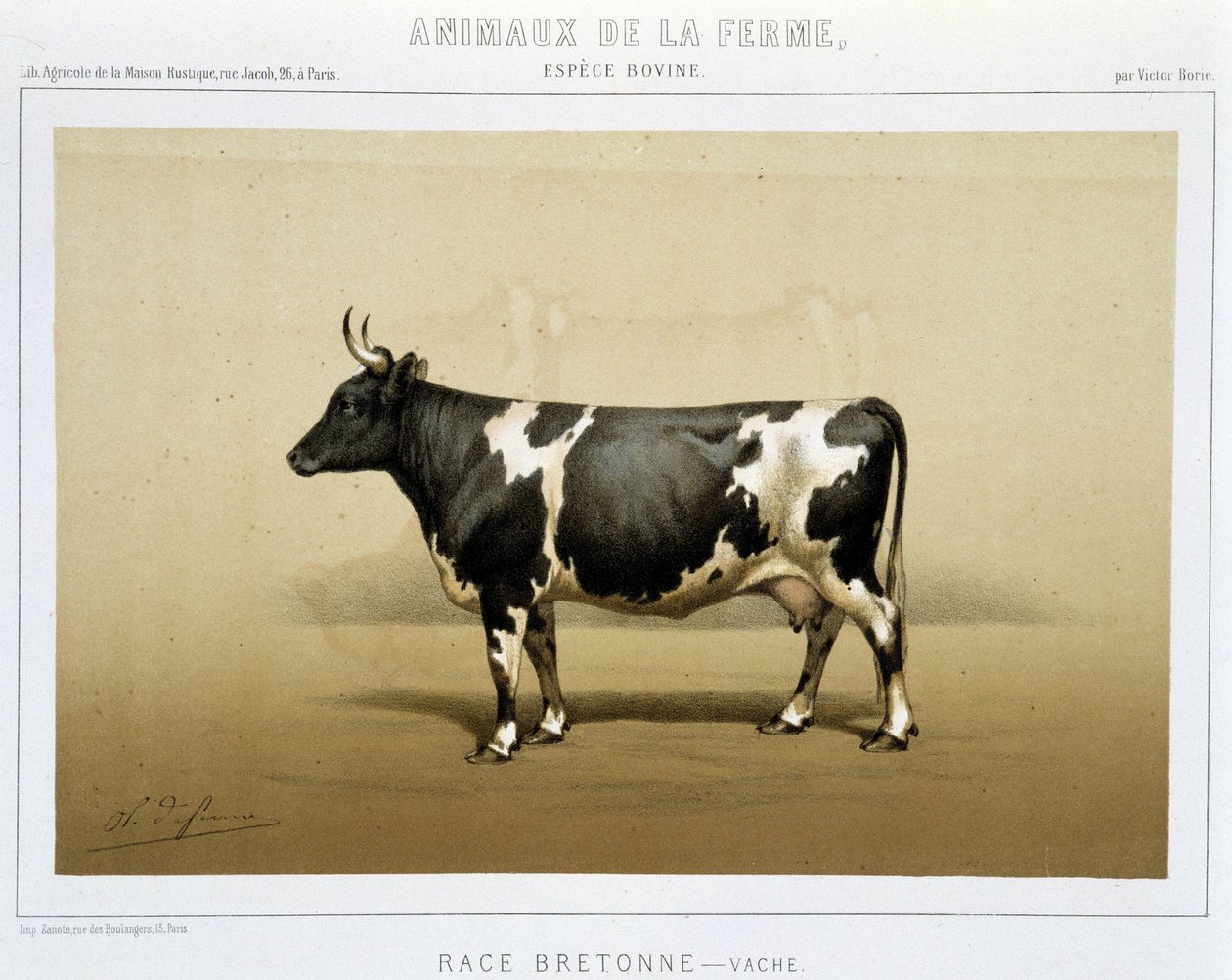 Breton ineği by Unknown artist