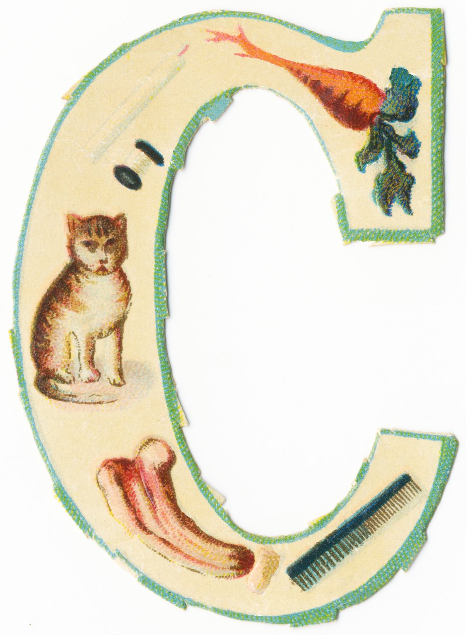 C: mercan, havuç, mum, pamuk, kedi, colocynth, tarak (renkli taş) by Unknown artist