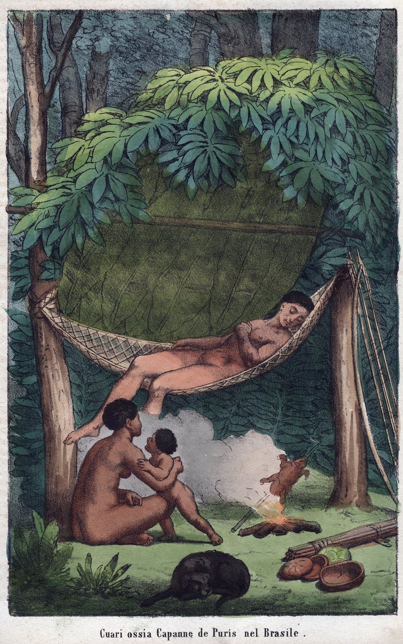 Cabane des Puris au Brezilya - Brezilya