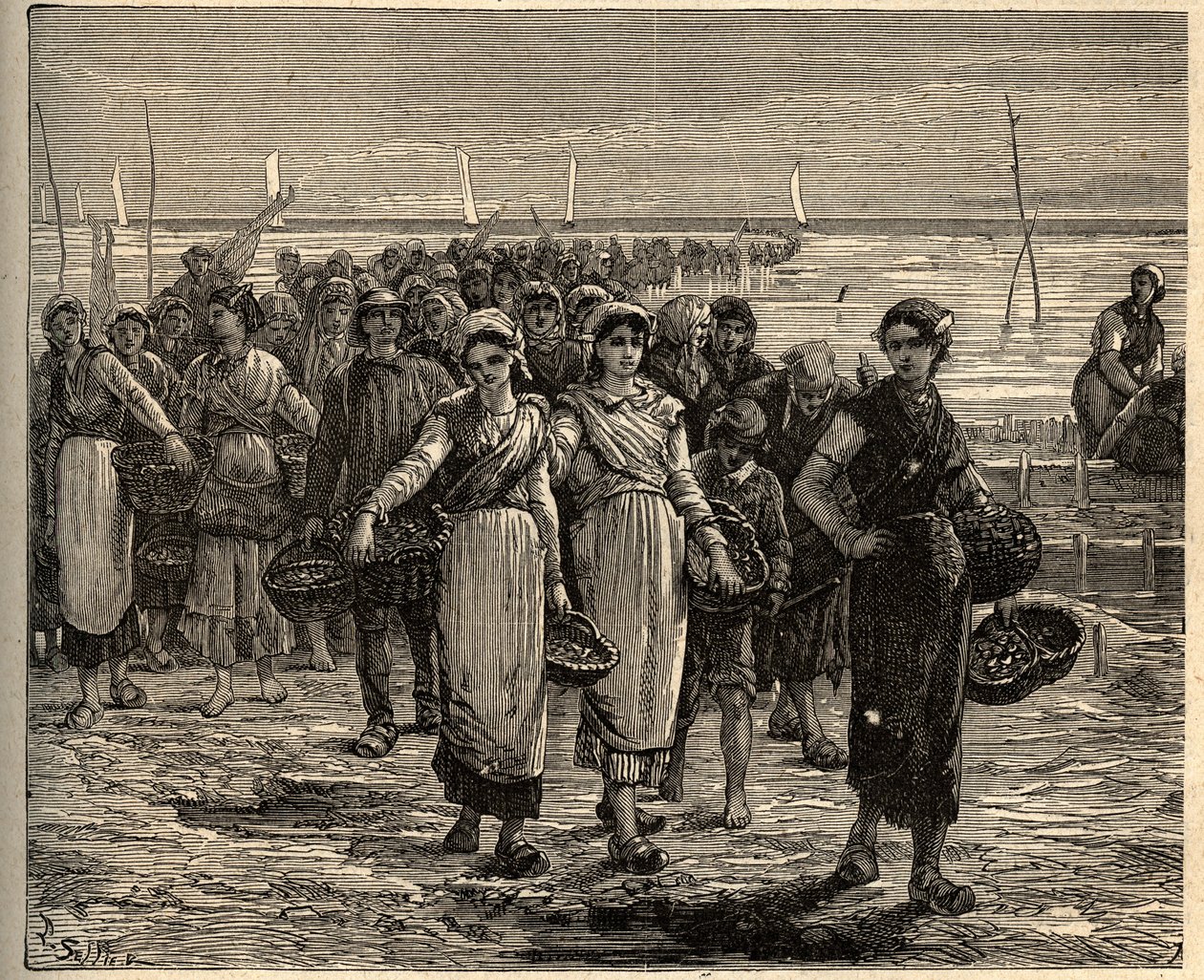 Cancale - Brittany - Balıkçı teknelerinden dönen Cancalaise