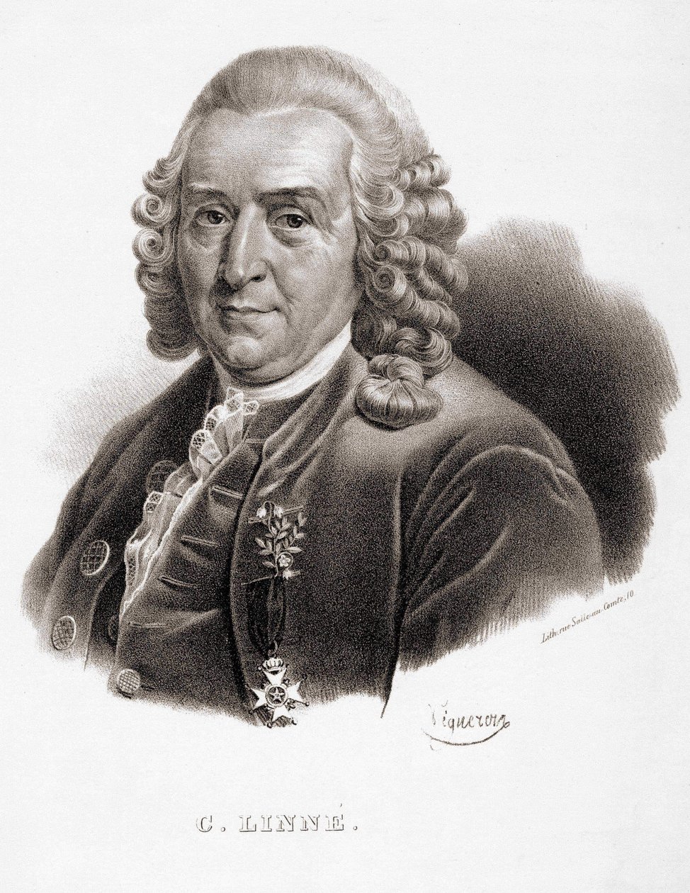 Carl Von Linné İsveçli doğa bilimci ve yazar (1707-1778). by Unknown artist