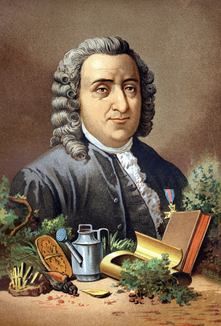 Carl Von Linné İsveçli doğa bilimci ve yazar (1707 - 1778), Louis Figuier