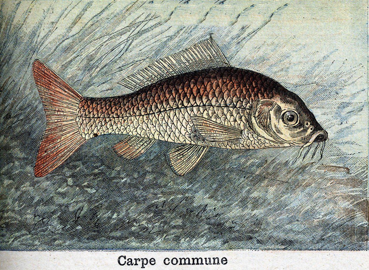 1898