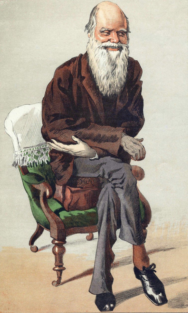 Charles Darwin (1809 - 1882), 30 Eylül tarihli “Vanity Fair”de illüstrasyon by Unknown artist