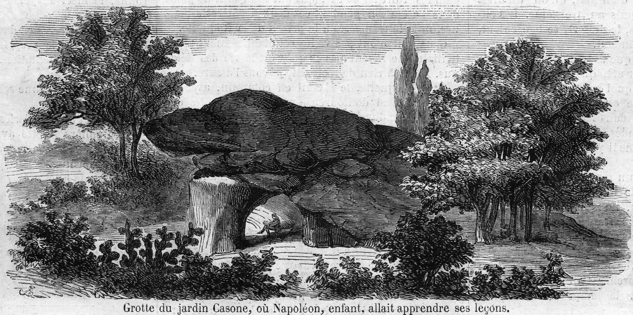 Napolyon