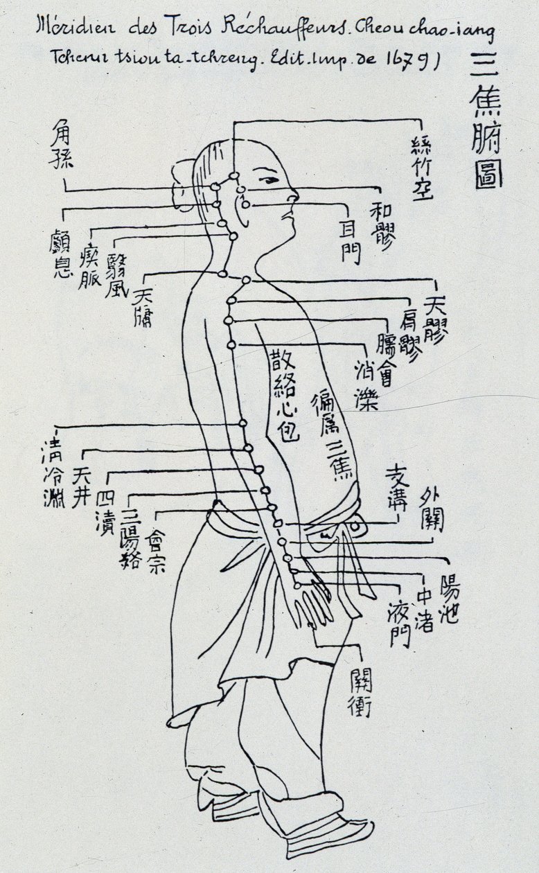 Çin Akupunkturu: üç ısıtıcının meridyeni by Unknown artist