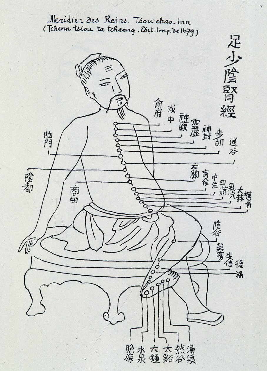 Çin akupunkturu: böbreklerin meridyeni by Unknown artist