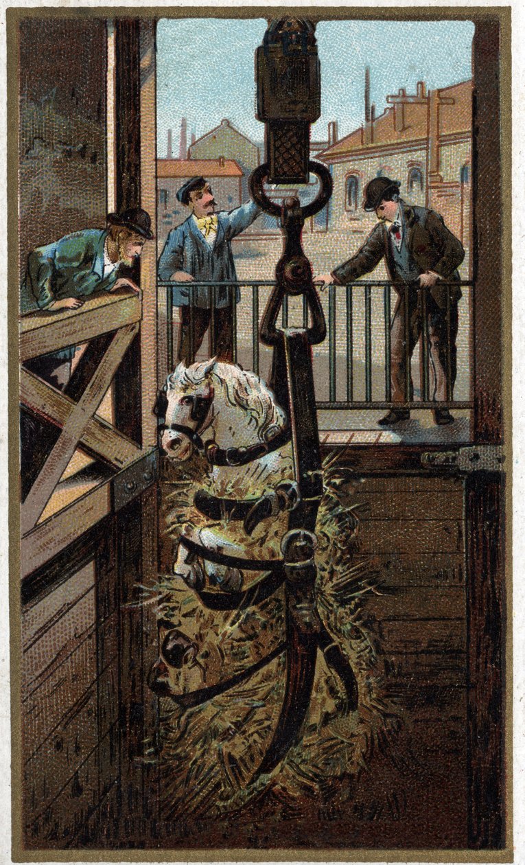 19. yüzyılın sonunun kromolitografisi by Unknown artist