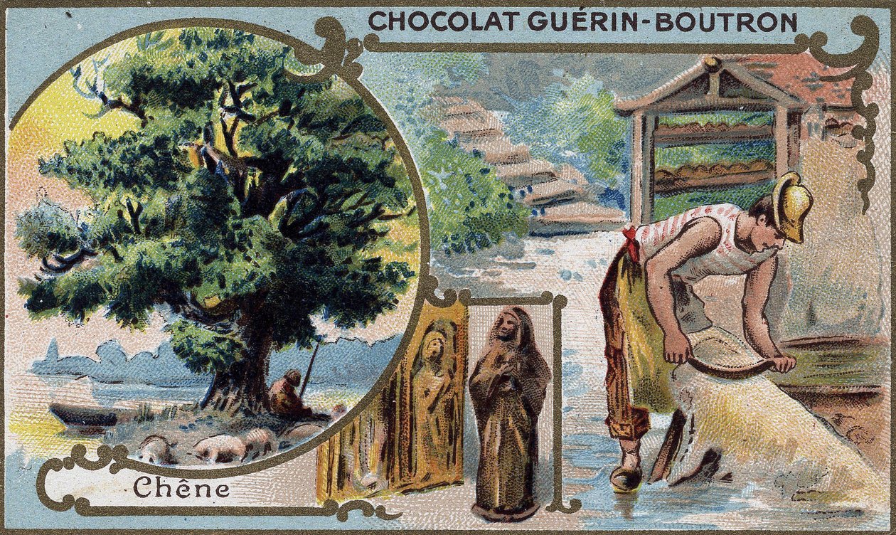 Guérin Boutron çikolatalarının kromolitografi ambalajı. 19. yüzyıl. by Unknown artist
