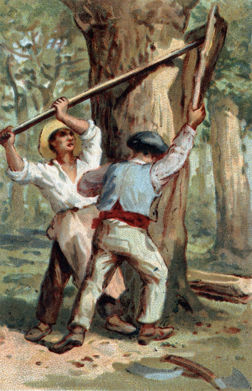 19. yüzyılın sonlarında kromolitografi. by Unknown artist