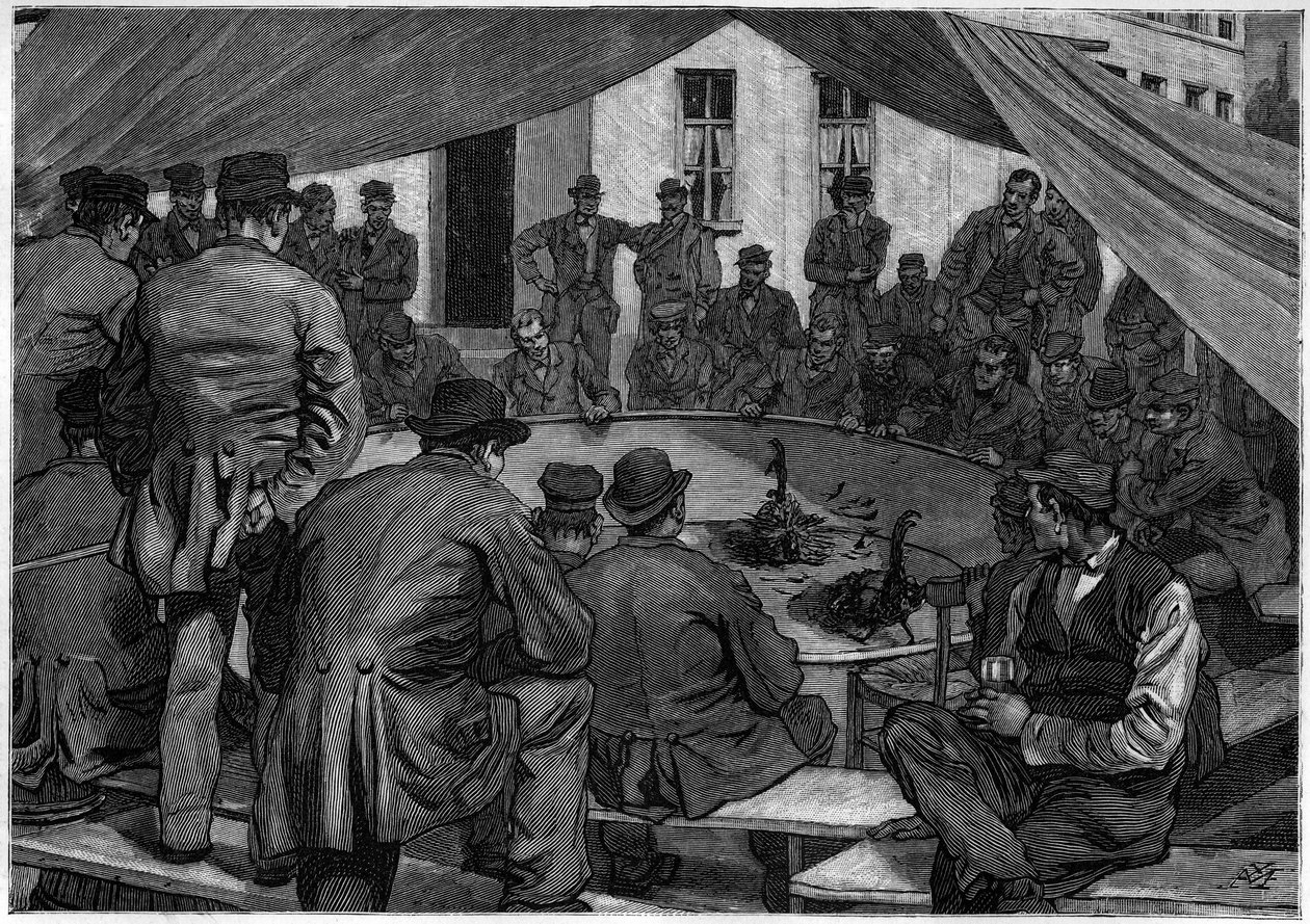 1888