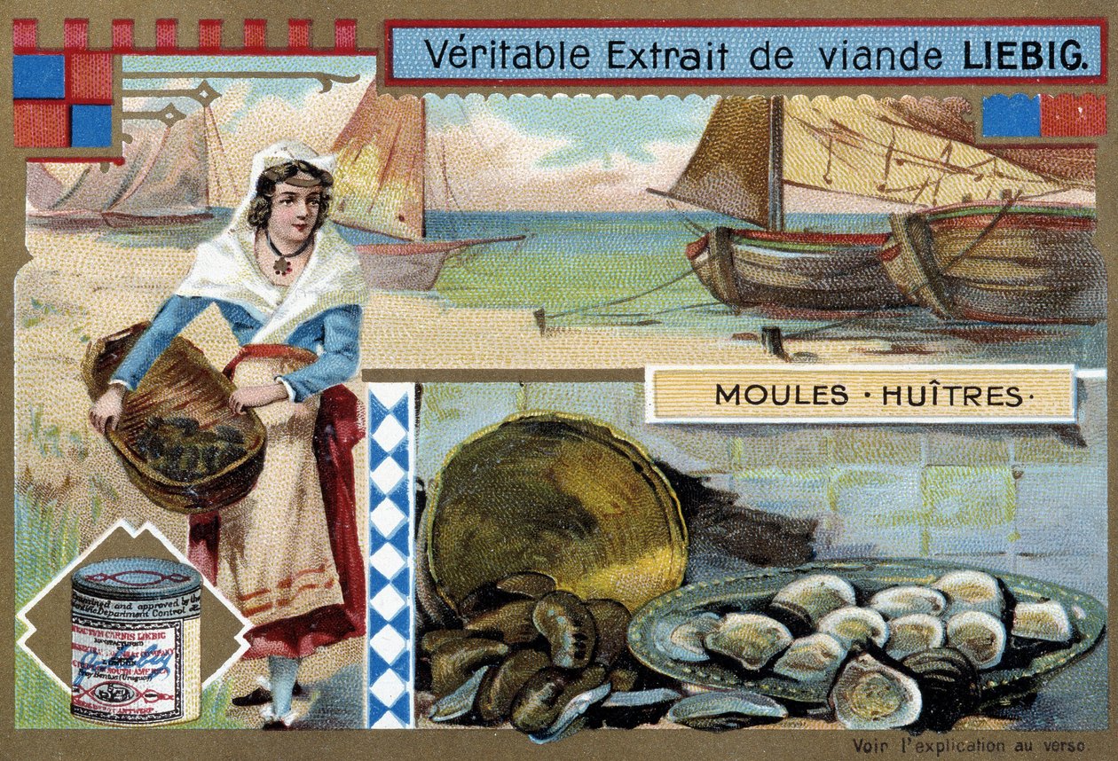 Midye ve istiridye koleksiyonu - kromo. Liébig, v.1900 by Unknown artist