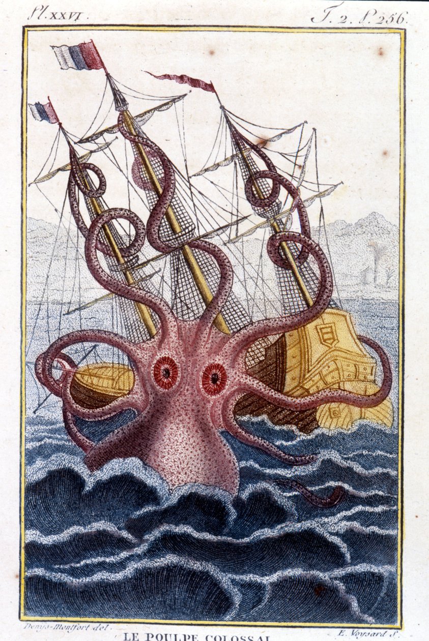 Devasa ahtapot (ahtapot, dev kalamar, kraken) bir gemiye (gemi, gemi) saldıran - Pierre Denys-Montfort (Denys de Montfort 1766-1820) kitabının gravürü “” Histoire naturelle des mollusques”, orijinal 1802 baskısı - by Unknown artist