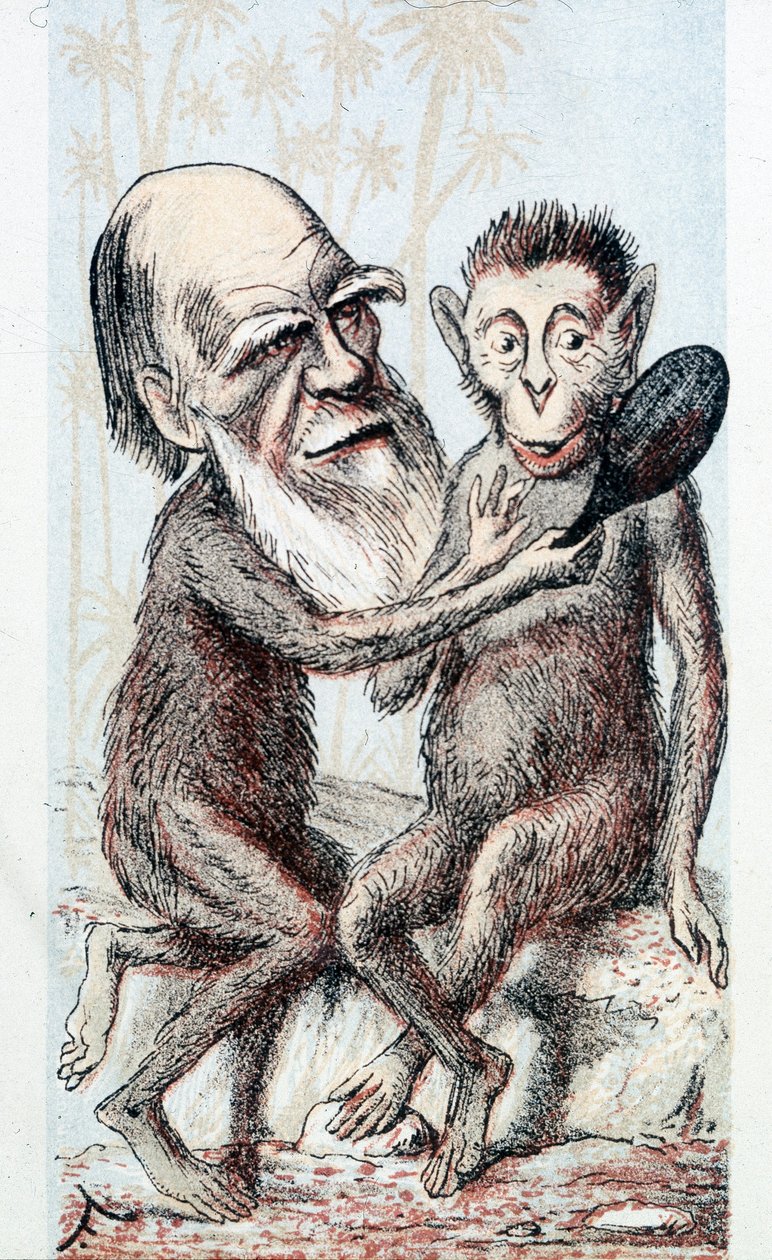 Darwin