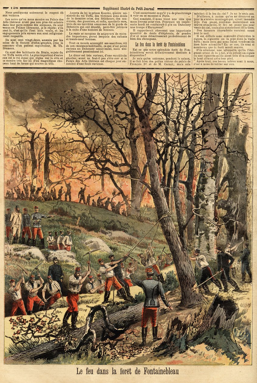 Fontainebleau ormanında suç yangını. “” Le petit Journal” da gravür 22/04/1893. Selva