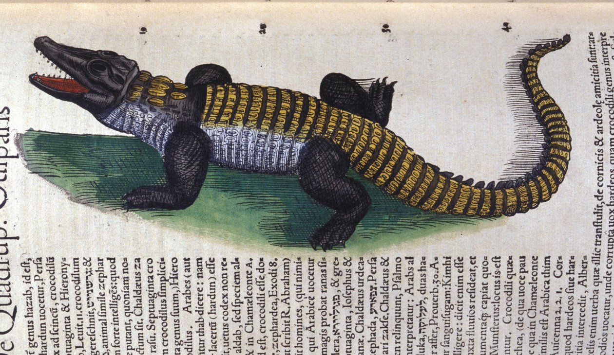 Timsah. Historia Animalium