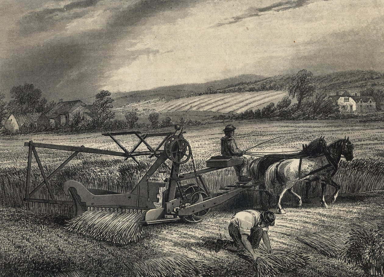 Cyrus McCormick'in 1831'deki biçme makinesi, 1851'deki Crystal Palace sergisinde sergilendi. by Unknown artist
