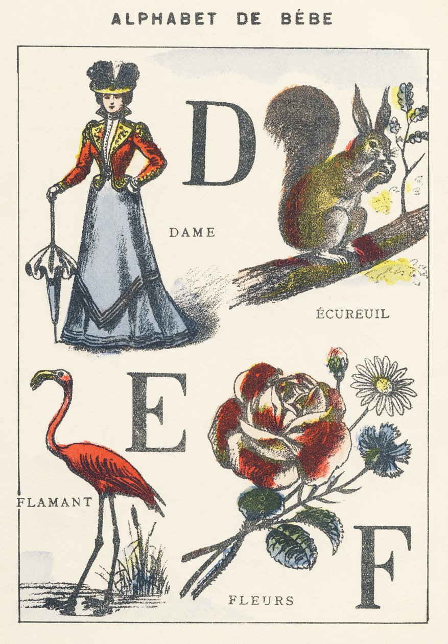 D E F: hanımefendi, sincap, flamingo, çiçekler by Unknown artist