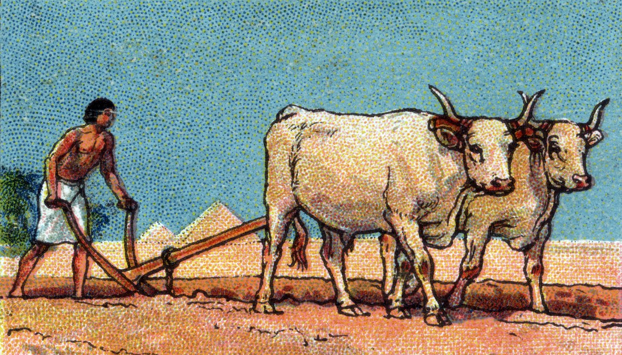 Eski Mısır