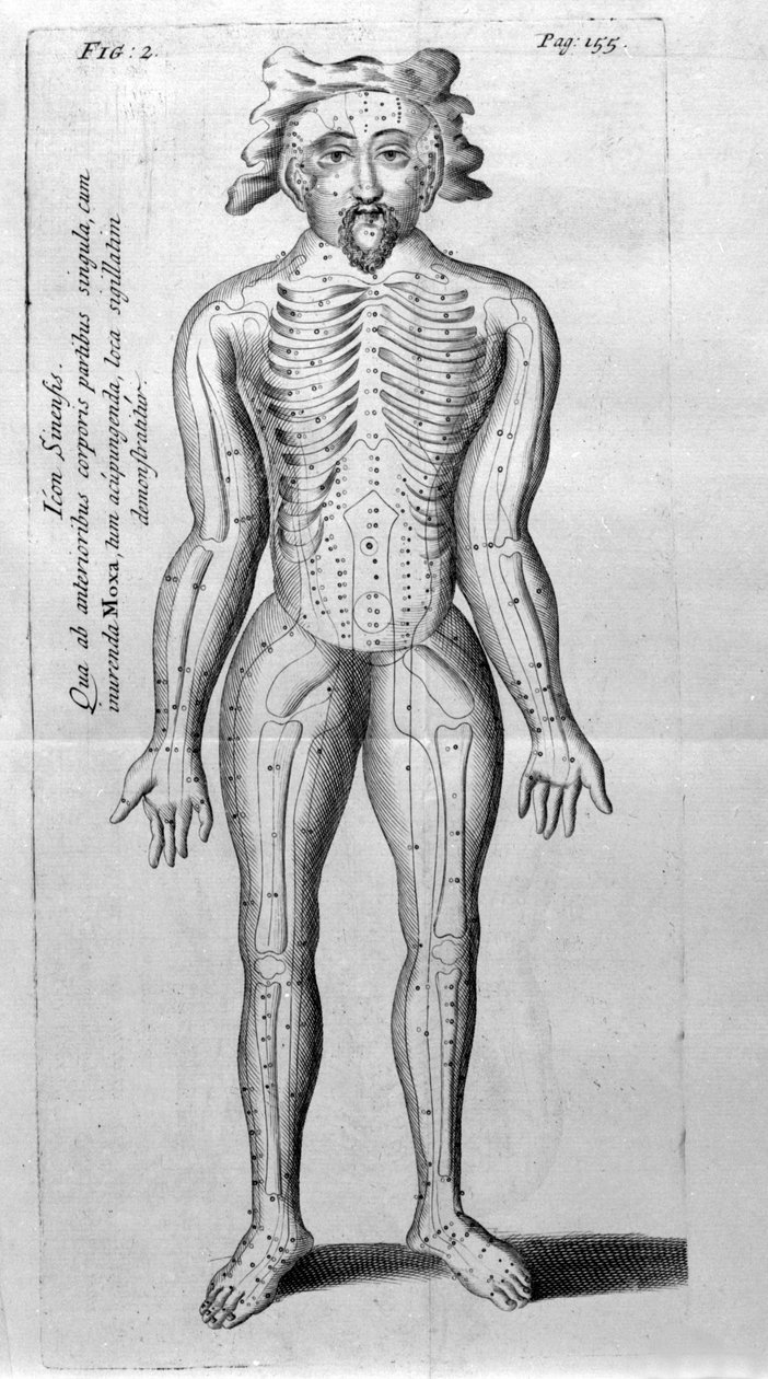 W.Ten Ren tarafından De Akupunktur. Londra 1683. Akupunktur ile ilgili ilk Batı metni. by Unknown artist