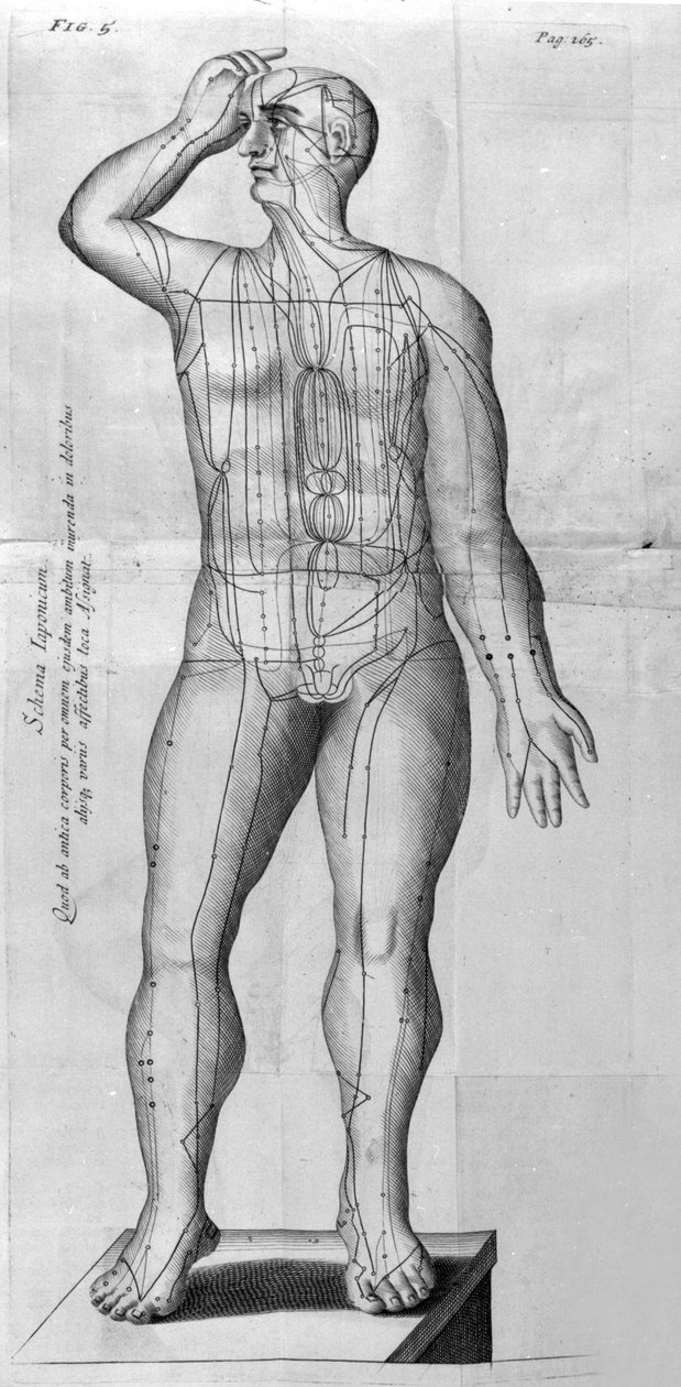 W.Ten Ren tarafından De Akupunktur. Londra 1683. Akupunktur ile ilgili ilk Batı metni. by Unknown artist